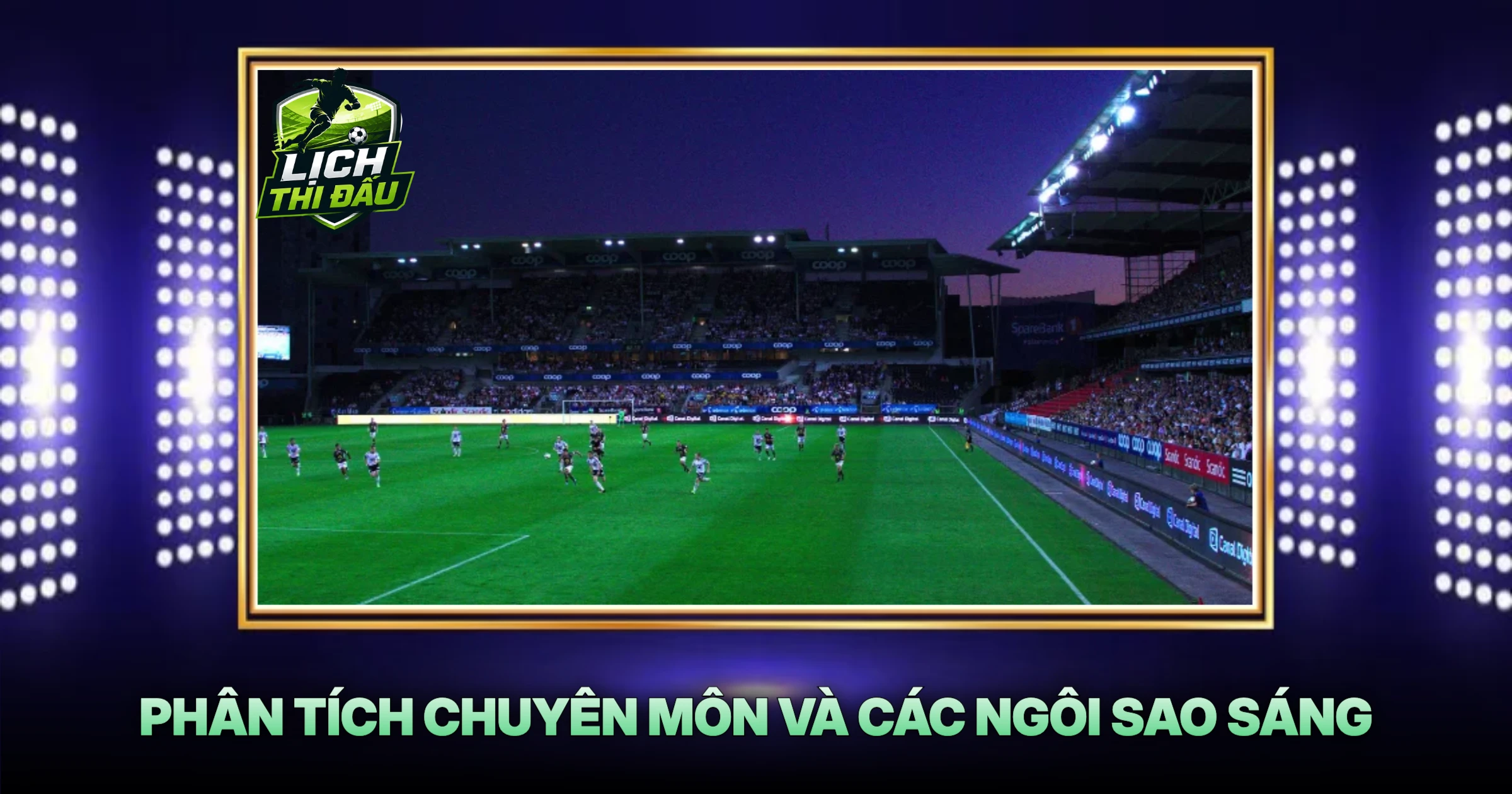Phân Tích Chuyên Môn Và Các Ngôi Sao Sáng